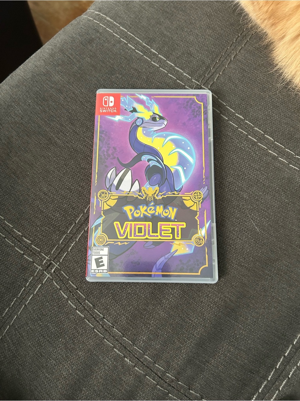 Nintendo Pokémon Violet game